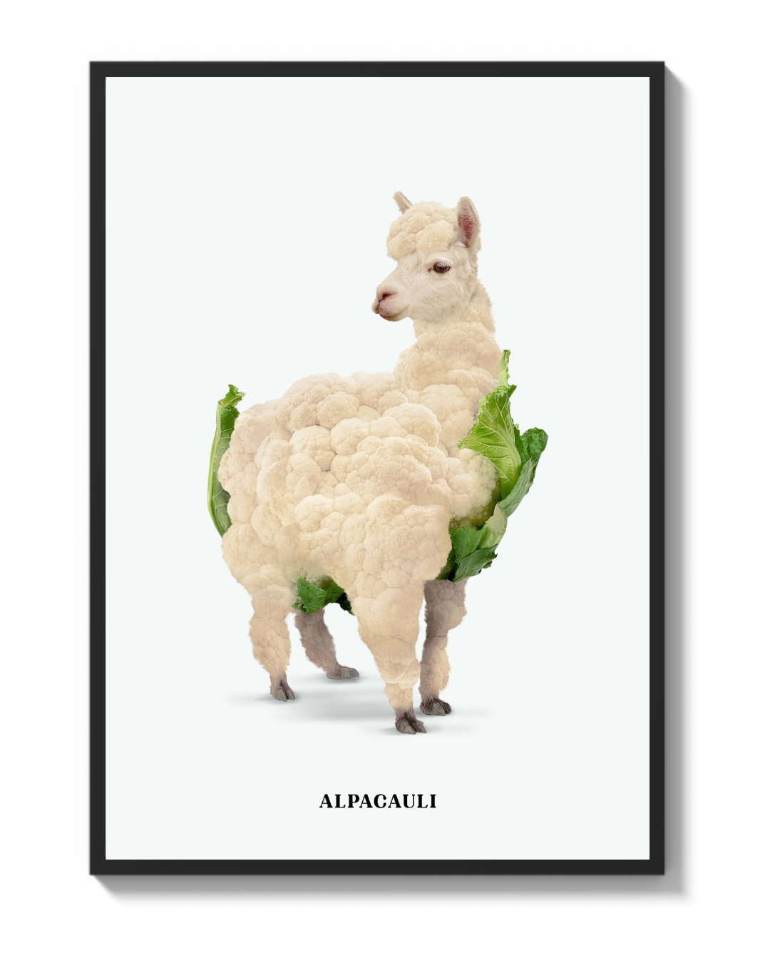 ALPACAULI