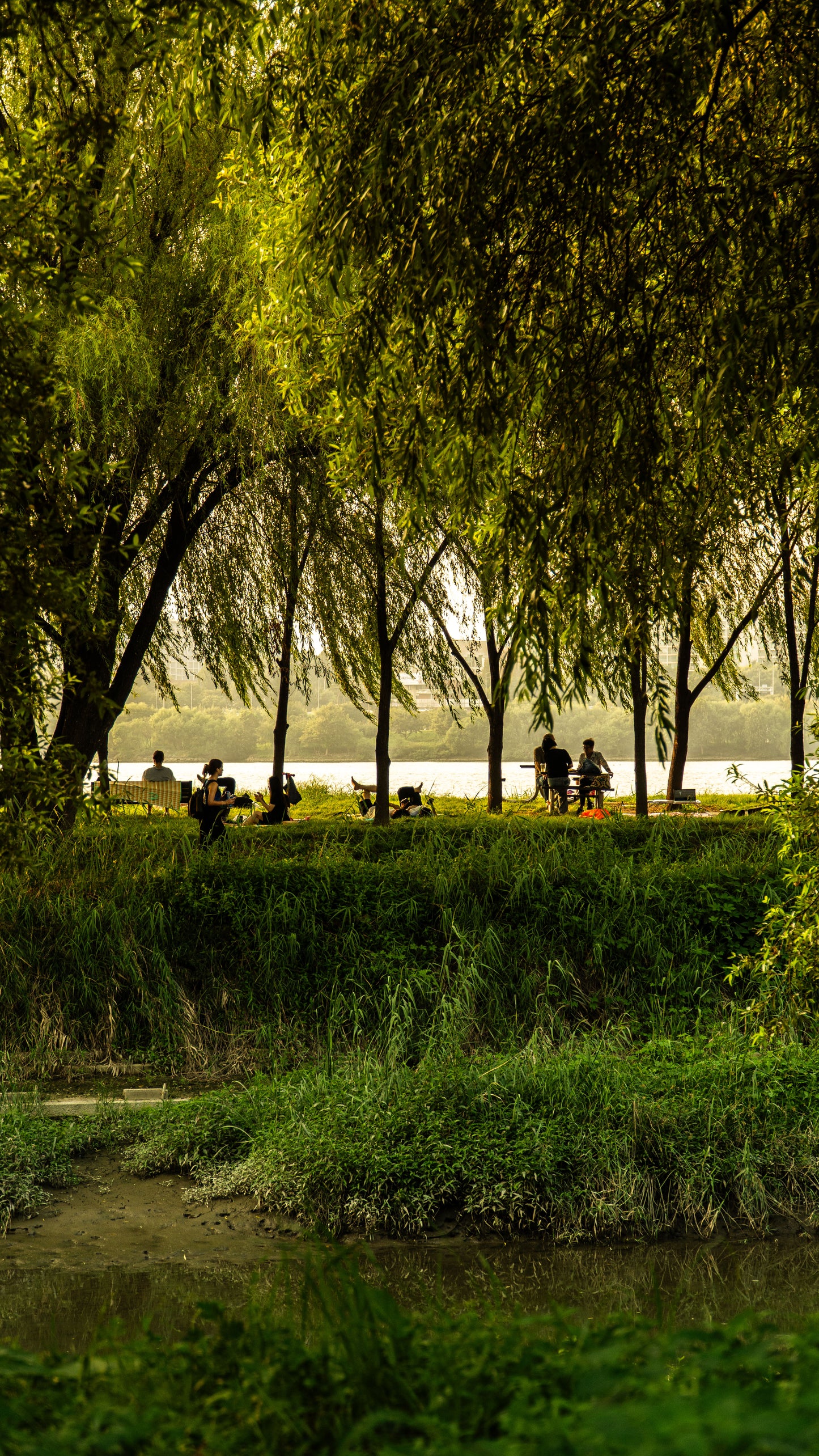 RELAXATION OF THE HAN RIVER